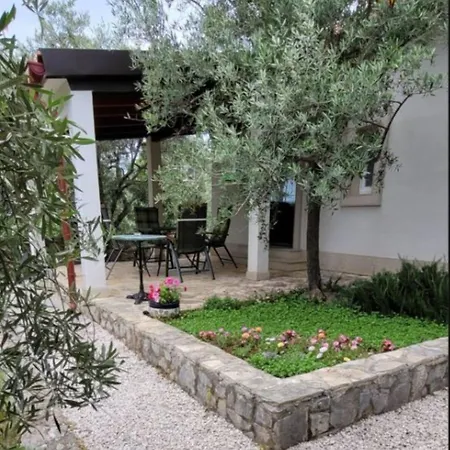 Small Family House Feniks