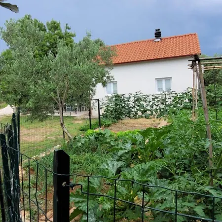 Nyaraló Small Family House Feniks