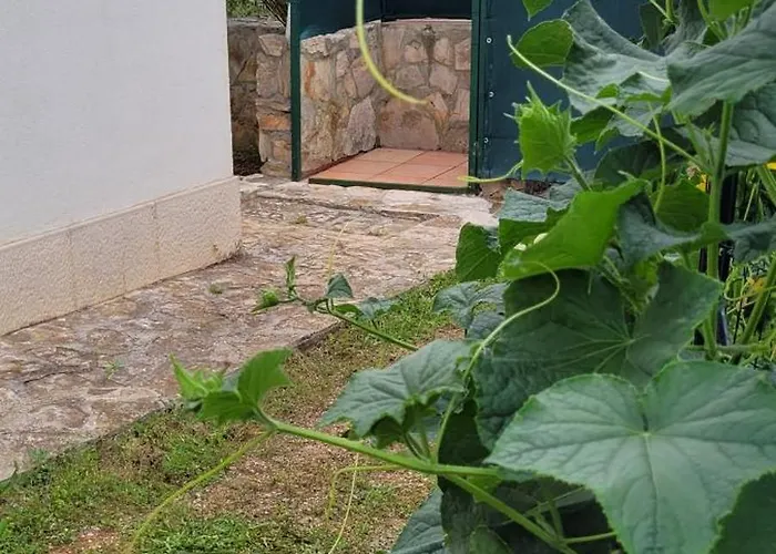 House Feniks - Great For A Family Vacation * Milna (Brac)